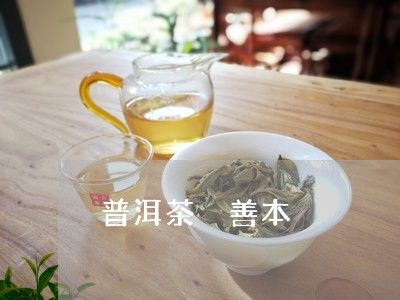 普洱茶 善本/2023042989474